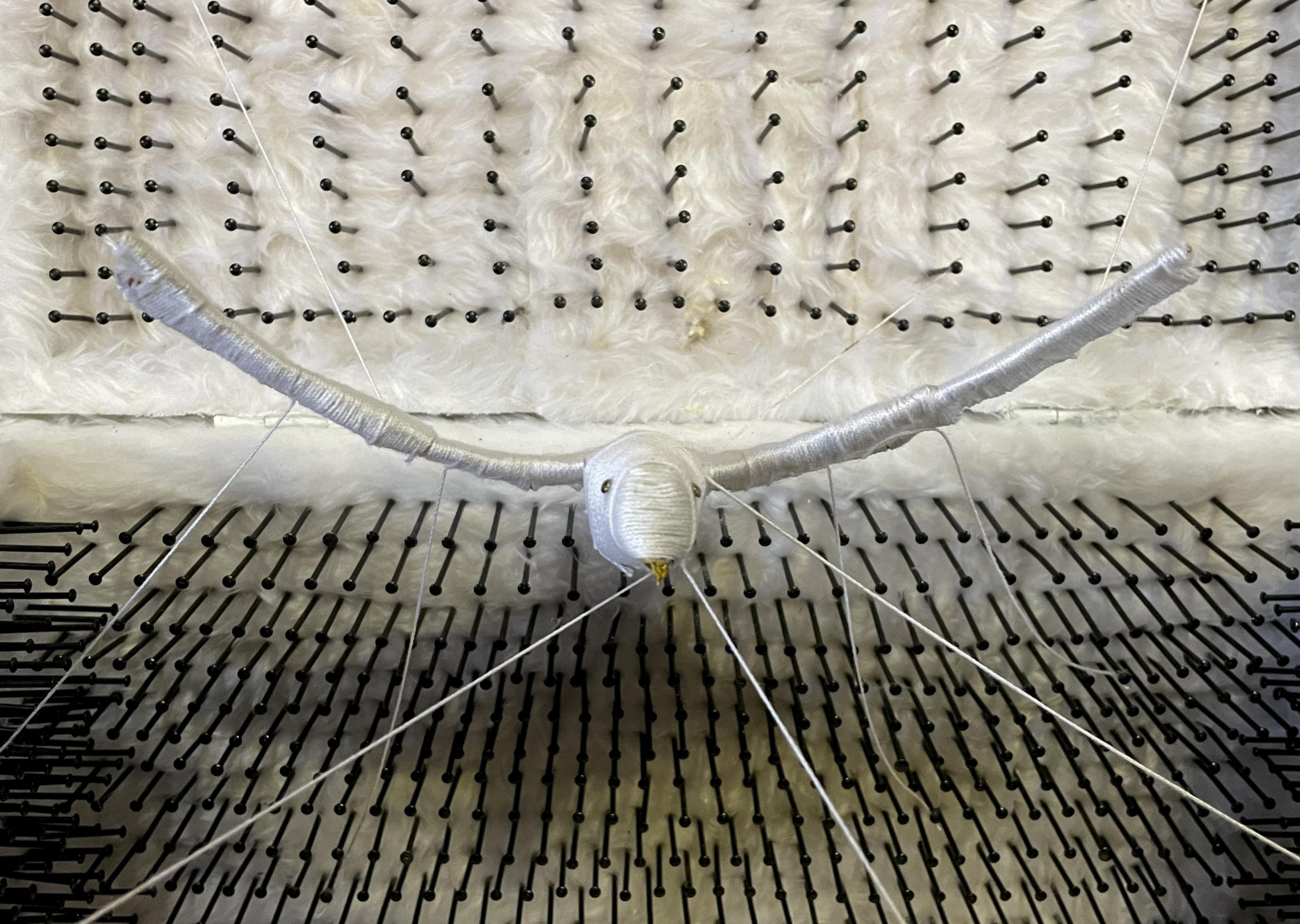 Primo piano della scultura di un uccello tra piume e chiodi