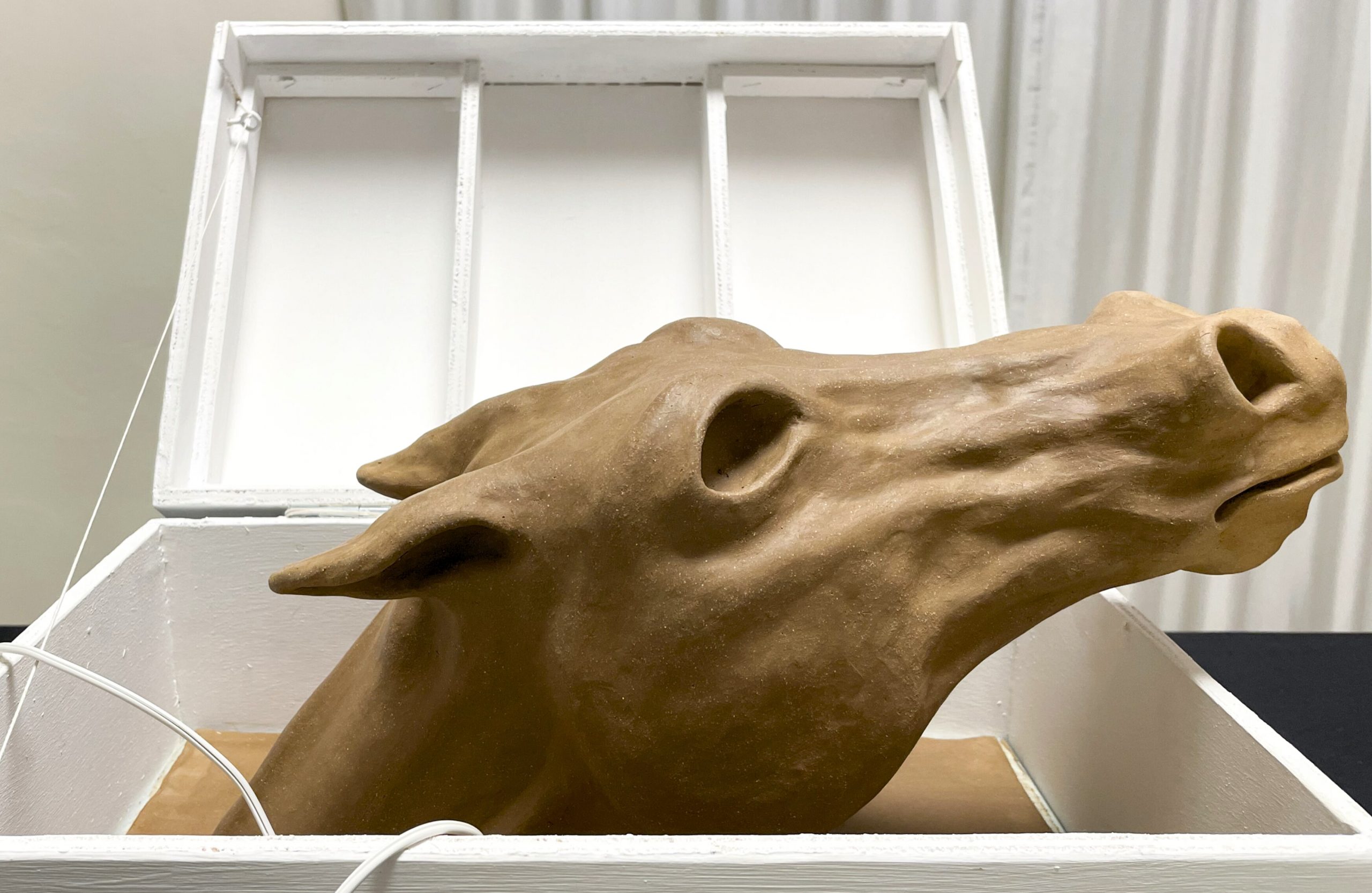 Primo piano di una scultura in argilla raffigurante la testa di un cavallo